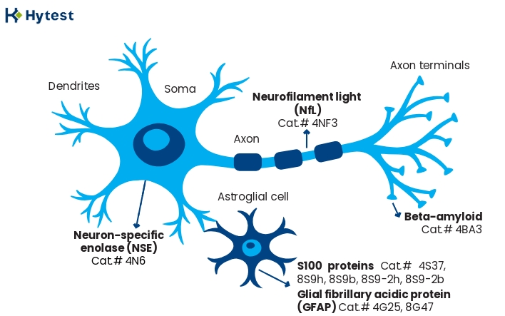 Neuroscience_biomarkers_a... undefined